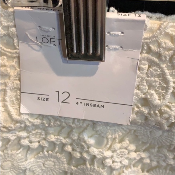 Loft cream shorts with lace detail - Picture 3 of 3